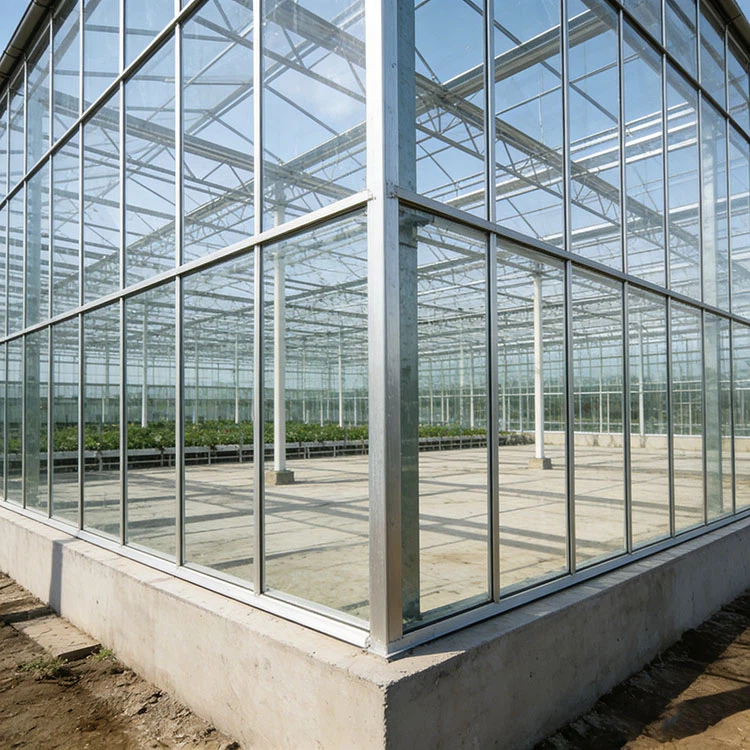 Steel Structure Greenhouse best